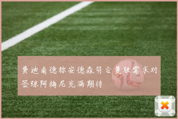 费迪南德称安德森符合曼联需求对签琼阿梅尼充满期待