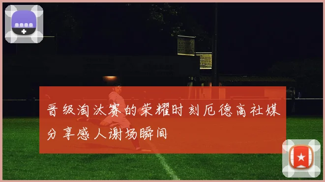 晋级淘汰赛的荣耀时刻厄德高社媒分享感人谢场瞬间