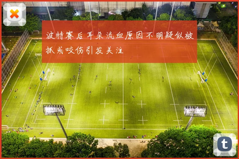 波特赛后耳朵流血原因不明疑似被抓或咬伤引发关注